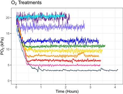 Caribbean scleractinian corals exhibit highly variable tolerances to acute hypoxia